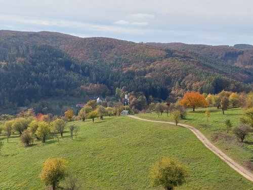 Vycházka turistického oddílu na Brdo - 26.10.2022