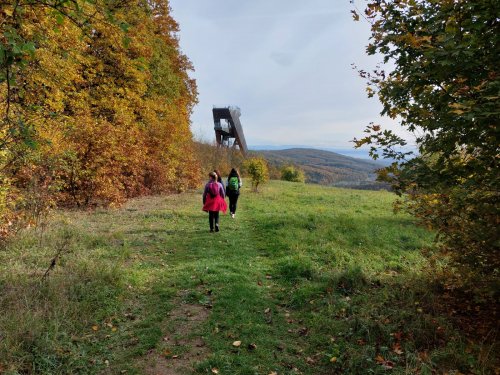 Vycházka turistického oddílu na Brdo - 26.10.2022