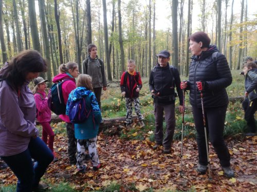 Vycházka turistického oddílu na Brdo - 26.10.2022