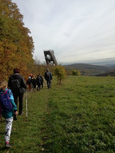Vycházka turistického oddílu na Brdo - 26.10.2022