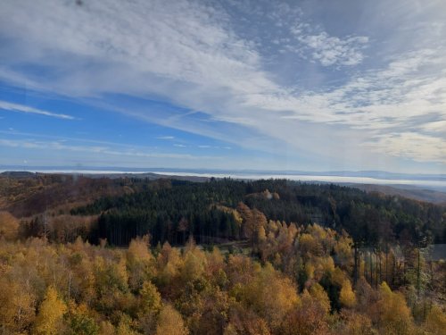 Vycházka turistického oddílu na Brdo - 26.10.2022