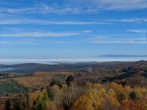 Vycházka turistického oddílu na Brdo - 26.10.2022