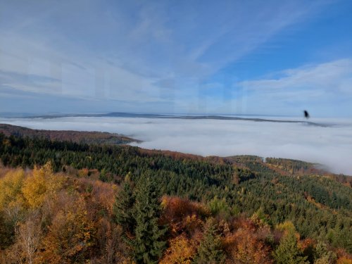 Vycházka turistického oddílu na Brdo - 26.10.2022