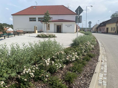 Růžové království v Podolí - 12.11.2022