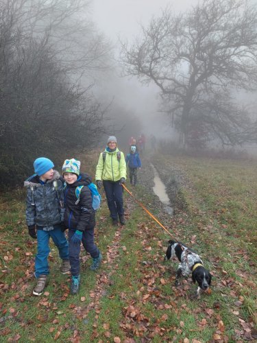 Výšlap Sokolů do NPR Čertoryje (Lučina u Radějova) - 17.11.2022