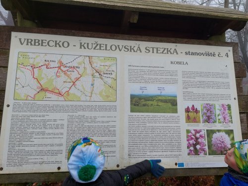 Výšlap Sokolů do NPR Čertoryje (Lučina u Radějova) - 17.11.2022