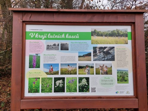 Výšlap Sokolů do NPR Čertoryje (Lučina u Radějova) - 17.11.2022