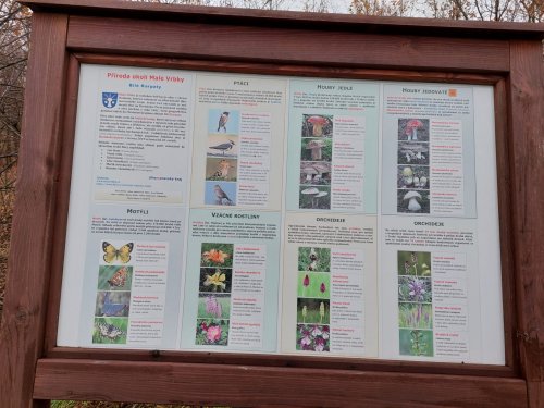 Výšlap Sokolů do NPR Čertoryje (Lučina u Radějova) - 17.11.2022