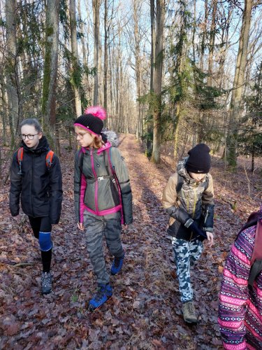 Vycházka turistického oddílu na Pepčín - 2.1.2023