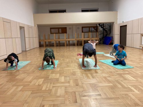 Cvičení Sokolů - 16.1.2023