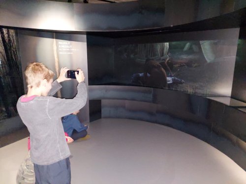 Soubor /2023-02-03-sokol-vystava-SM-02.jpg