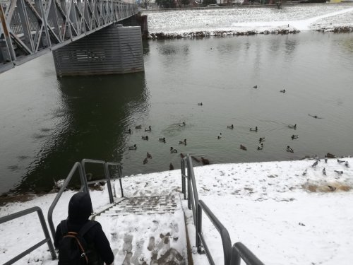 Návštěva Sokolu v Památníku Velké Moravy ve Starém Městě - 3.2.2023