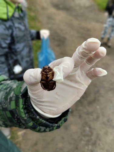 Úklid Podolí - 31.3.2023