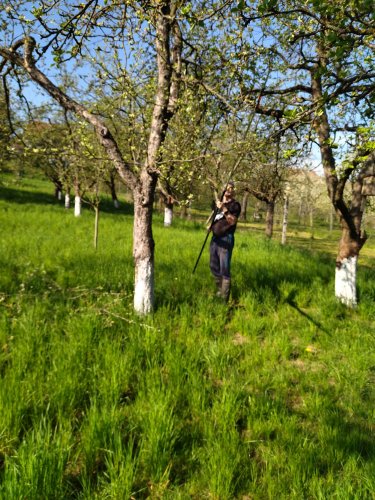 Brigáda zahrádkářů ve školní zahradě - 23.4.2023