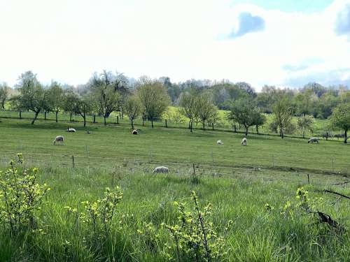 Hvězdný víkend sokolského turisťáku z Podolí na Maršově - 29.4.2023