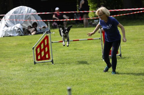 Úspěchy agility týmu z Podolí - 27.5.2023