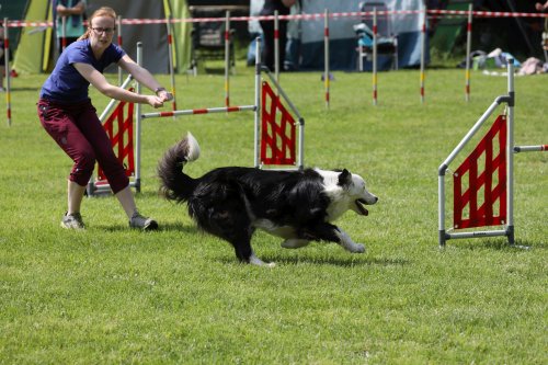 Úspěchy agility týmu z Podolí - 27.5.2023