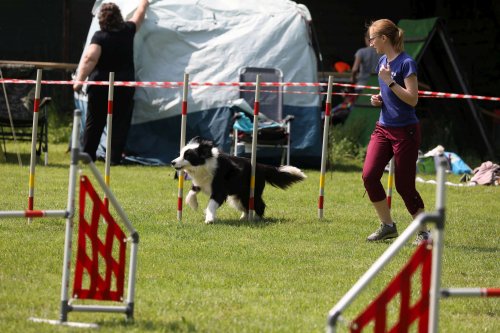 Úspěchy agility týmu z Podolí - 27.5.2023