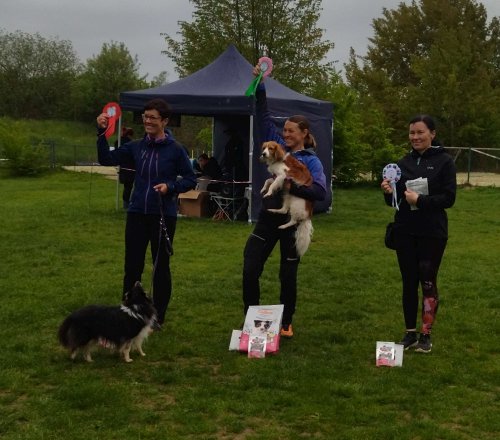 Úspěchy agility týmu z Podolí - 27.5.2023