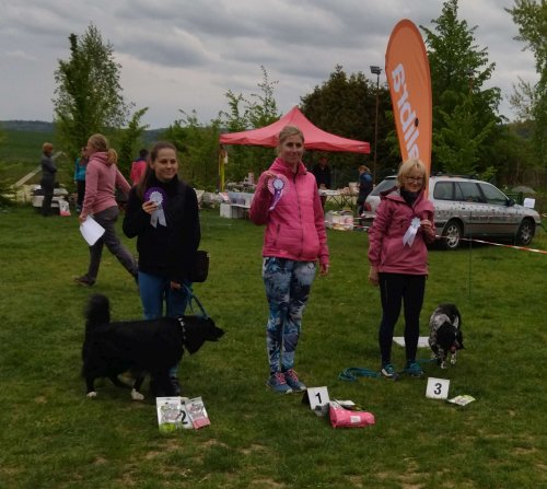 Úspěchy agility týmu z Podolí - 27.5.2023