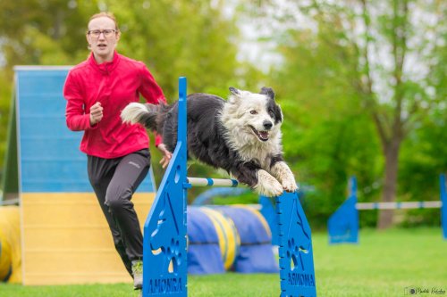 Úspěchy agility týmu z Podolí - 27.5.2023