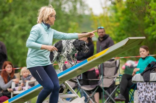 Úspěchy agility týmu z Podolí - 27.5.2023