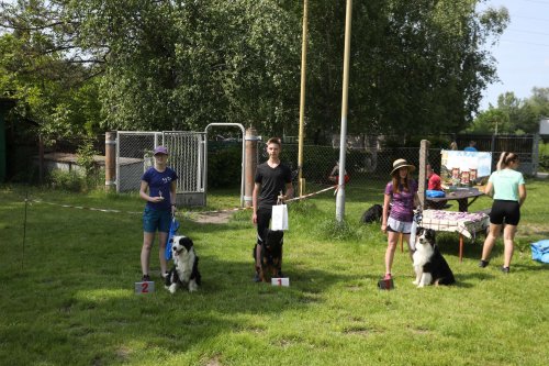 Úspěchy agility týmu z Podolí - 27.5.2023
