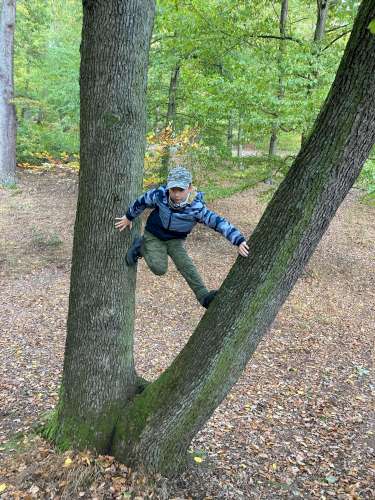 Vycházka Sokolů na hrad Buchlov a Karlovu skálu - 26.10.2023