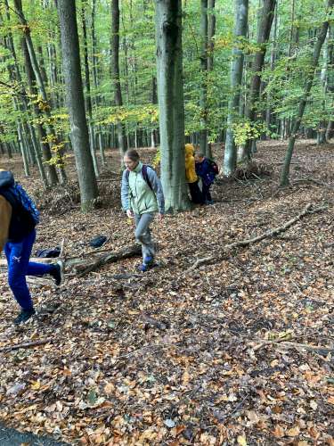 Vycházka Sokolů na hrad Buchlov a Karlovu skálu - 26.10.2023