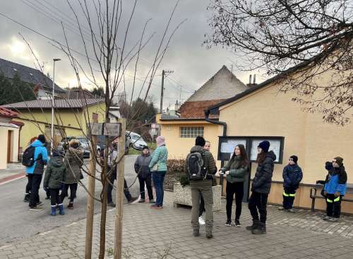Silvestrovská vycházka do Amfíku Bukovina - 31.12.2023