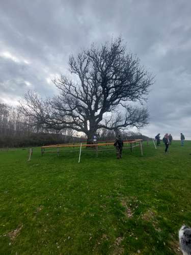 Josefský pochod okolo Hlubočku - 16.3.2024