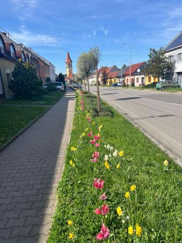 Rozkvetlé Podolí - 9.4.2024