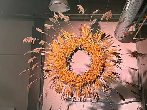 Zájezd zahrádkářů na Florii Kroměříž - 4.5.2024