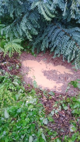 Povodeň na řece Olšavě - 15.9.2024