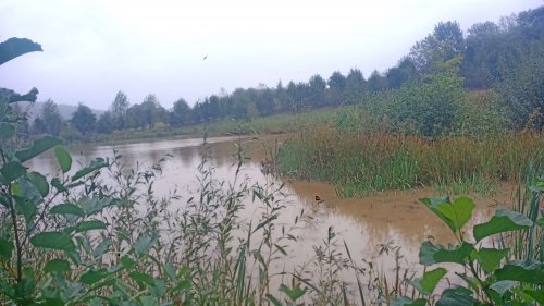 Povodeň na řece Olšavě - 15.9.2024