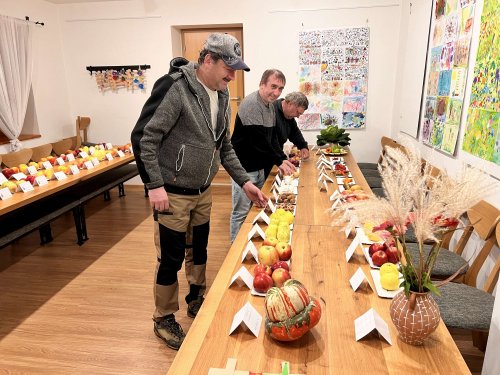 Přípravy na hody - 18.10.2024