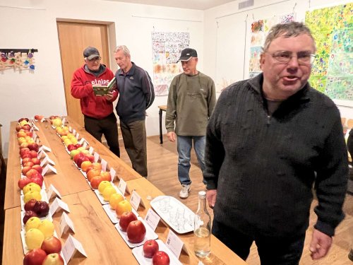 Přípravy na hody - 18.10.2024