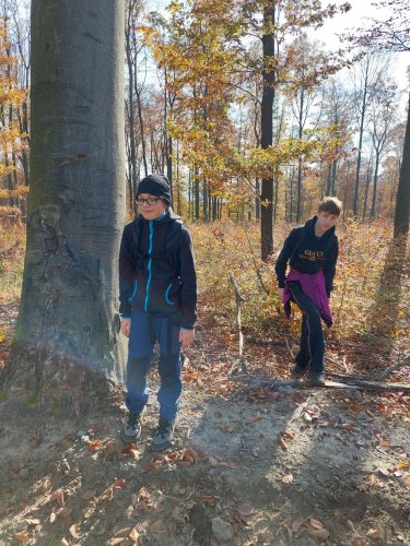 Soubor /2024-10-29-turistak-stupava-39.jpg