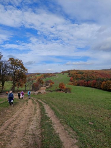 Turisťák na výletu okolo Stupavy - 29.10.2024