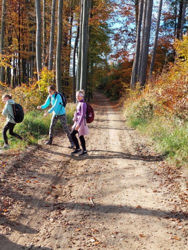 Turisťák na výletu okolo Stupavy - 29.10.2024