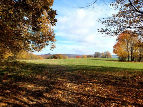 Turisťák na výletu okolo Stupavy - 29.10.2024