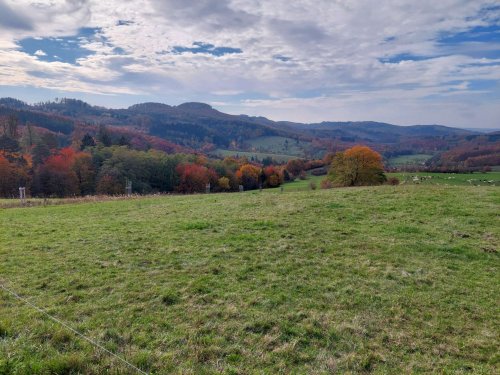 Turisťák na výletu okolo Stupavy - 29.10.2024