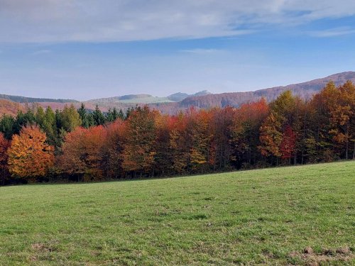 Turisťák na výletu okolo Stupavy - 29.10.2024