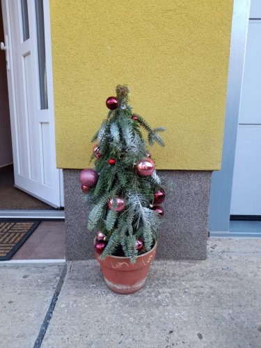 Adventní tvoření - 30.11.2024