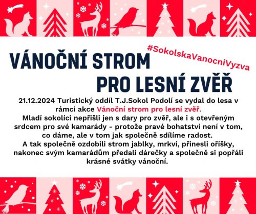 Soubor /2024-12-24-turistak-krmeni-zviratek-3.jpg