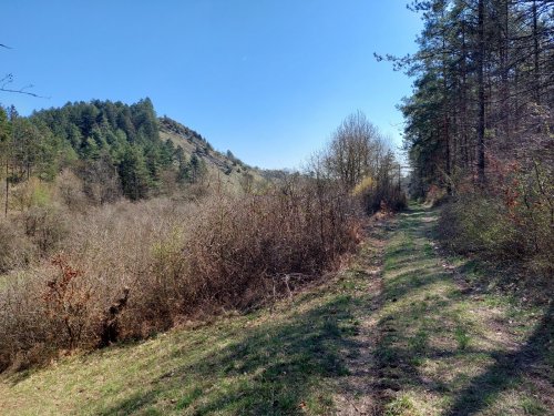 Výprava Sokolů na Dobrou Vodu - 3.4.2025