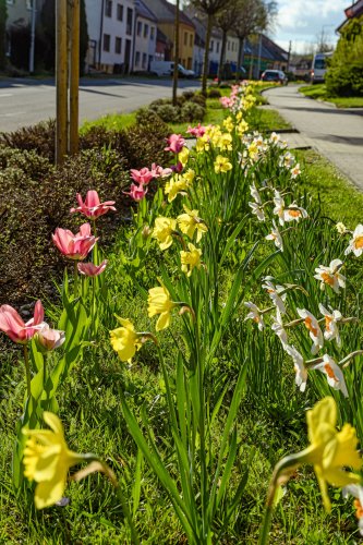 Jaro v Podolí - 13.3.2025