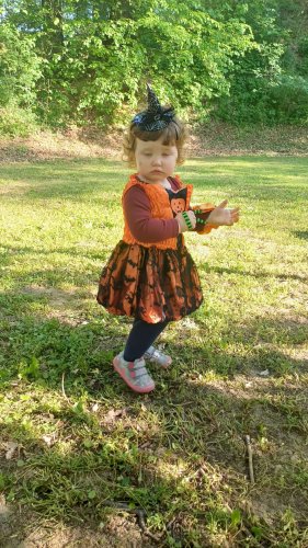 Stavění máje a čarodějnice - 30.4.2025