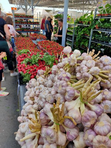 Zájezd zahrádkářů na Florii Kroměříž a na Svatý Hostýn - 3.5.2025