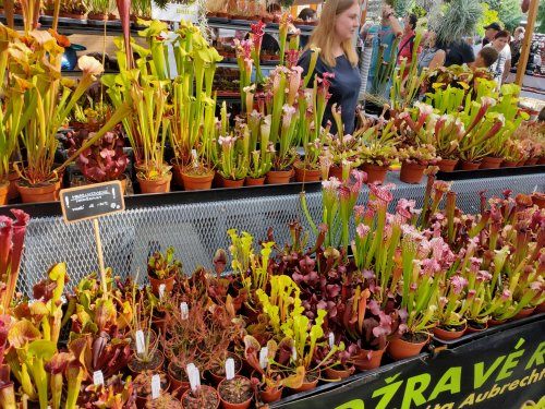 Zájezd zahrádkářů na Florii Kroměříž a na Svatý Hostýn - 3.5.2025